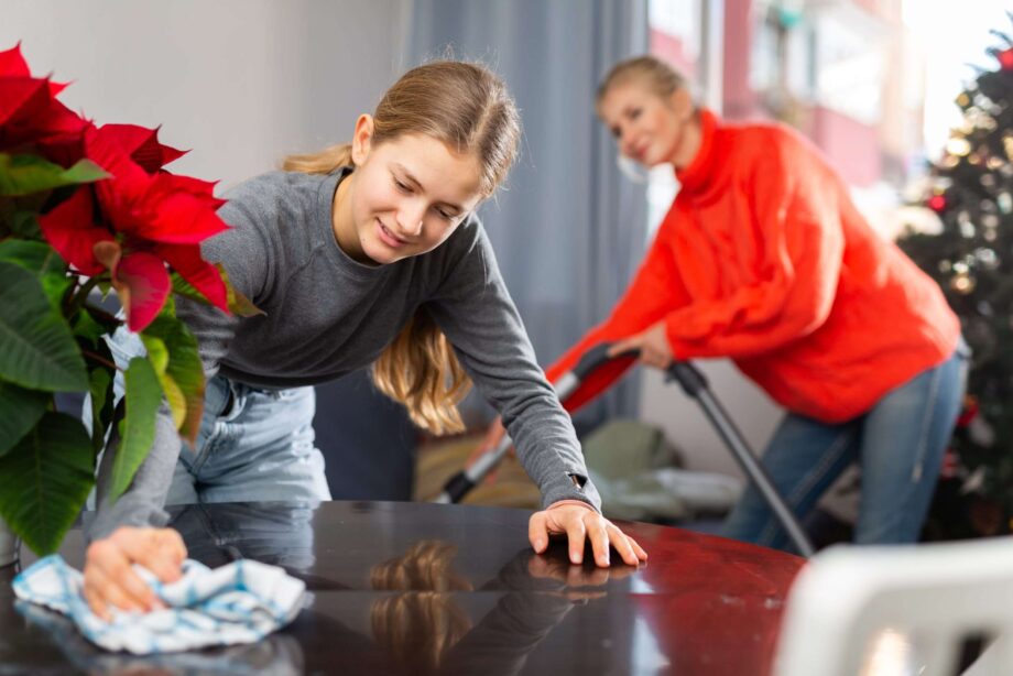 holiday cleanup {{brizy_dc_image_alt entityId=