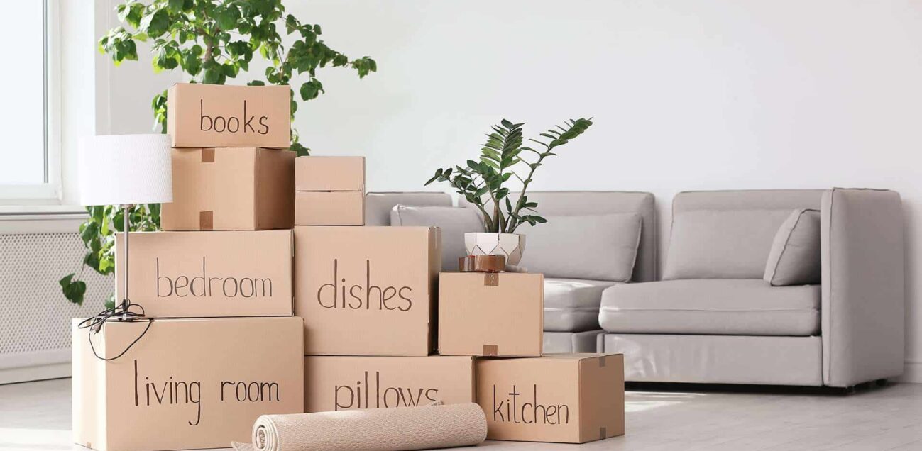 Move In and Move Out Cleaning services